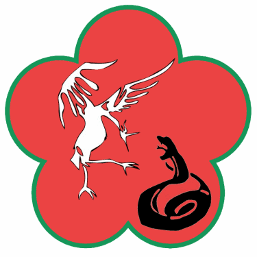 Moy Yat Ving Tsun Kung Fu of Tallahassee